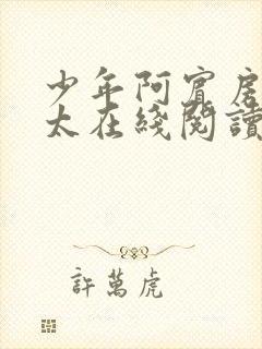 少年阿宾房东太太在线阅读第二章