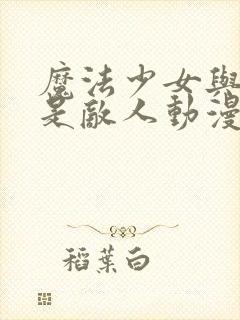 魔法少女与恶曾是敌人动漫封面