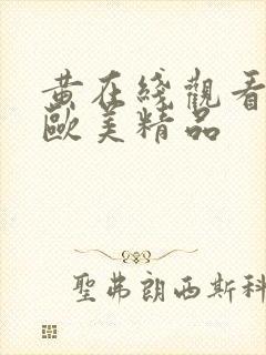 黄在线观看国产欧美精品