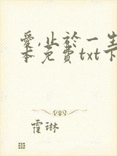 爱,止于一生全本免费txt下载