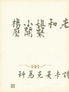 杨小姐和老舅什么关系封面