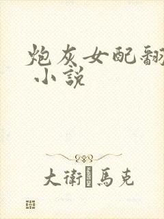 炮灰女配翻身记 小说封面