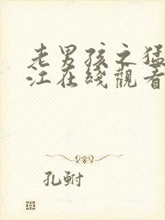 老男孩之猛龙过江在线观看高清完整版