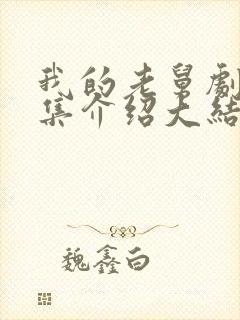 我的老舅剧情分集介绍大结局封面