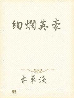 绚烂英豪