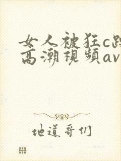 女人被狂c躁到高潮视频av