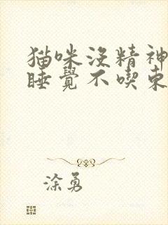 猫咪没精神一直睡觉不吃东西