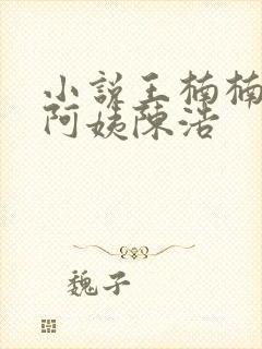 小说王楠楠,王阿姨陈浩