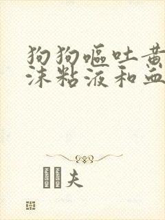 狗狗呕吐黄水泡沫粘液和血封面