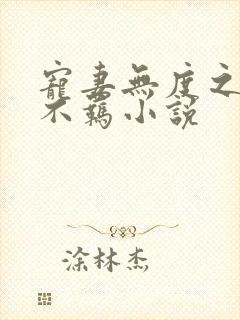 宠妻无度之嫡妃不羁小说