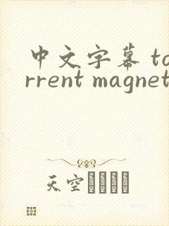 中文字幕 torrent magnet封面
