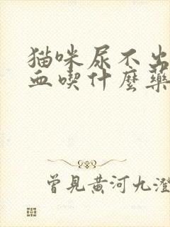 猫咪尿不出来尿血吃什么药封面