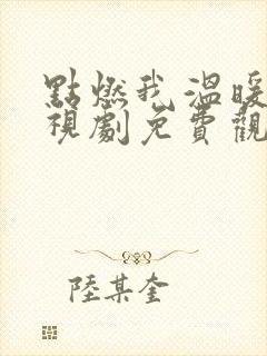 点燃我温暖你电视剧免费观看软件