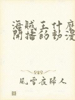 海贼王什么时候开播的动漫