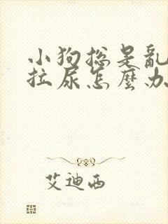 小狗总是乱拉屎拉尿怎么办