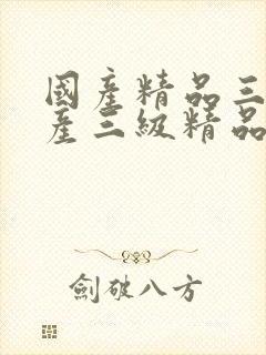 国产精品三级国产三级精品