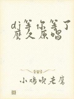 dj等你等了那么久原唱