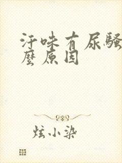 汗味有尿骚气什么原因