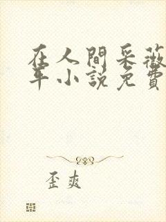 在人间采薇陆三平小说免费阅读