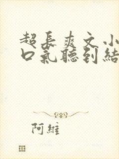 超长爽文小说一口气听到结局封面