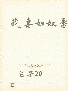 我妻如奴番外封面