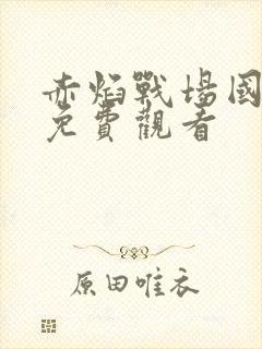 赤焰战场国语版免费观看