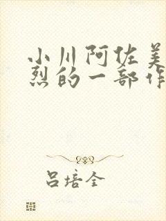 小川阿佐美最激烈的一部作品封面