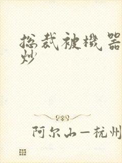 总裁被机器人爆炒封面