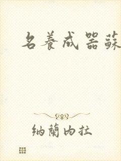 名养成器苏沫沫