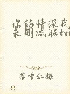 你的情深我不配未删减版txt下载封面