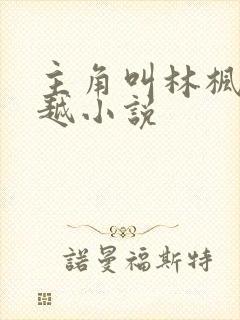 主角叫林枫的穿越小说