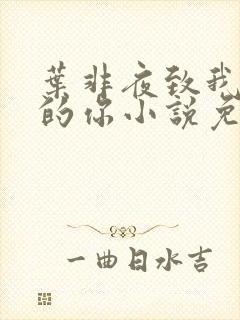 叶非夜致我最爱的你小说免费阅读