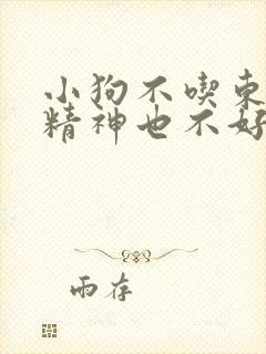 小狗不吃东西,精神也不好,怎么办