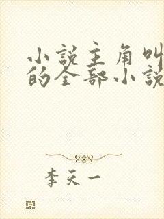 小说主角叫洛天的全部小说封面