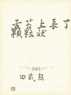 舌苔上长了白色颗粒状封面