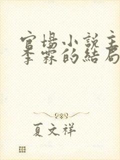 官场小说主人公李霖的结局封面