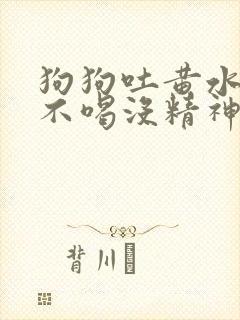 狗狗吐黄水不吃不喝没精神怎么办