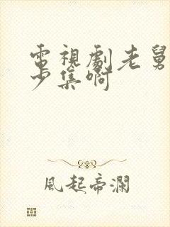 电视剧老舅共多少集啊封面