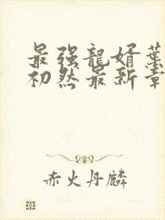 最强龙婿叶辰萧初然最新章节封面