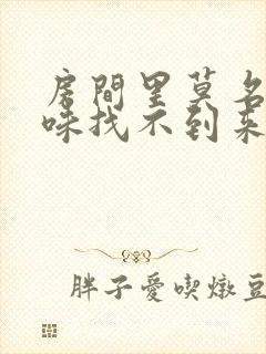 房间里莫名尿骚味找不到来源