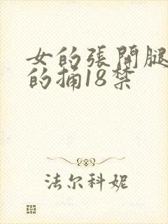 女的张开腿让男的捅18禁封面