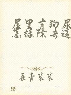 屋里有狗尿骚味怎样除去这个味道