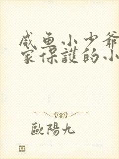 咸鱼小少爷被国家保护的小说