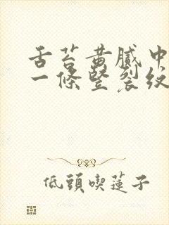 舌苔黄腻中间有一条竖裂纹