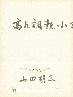 高h调教小说封面