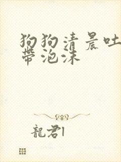 狗狗清晨吐黄水带泡沫