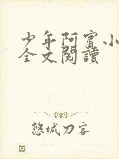 少年阿宾小说 全文阅读