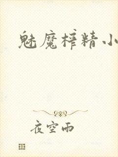 魅魔榨精小说