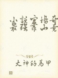 小说官场奇才:最强靠山竟是我自己李霖在封面