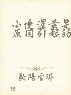 小便浓黄是什么原因引起的